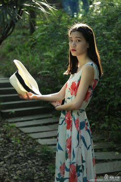 男男一区二区分类浏览界面